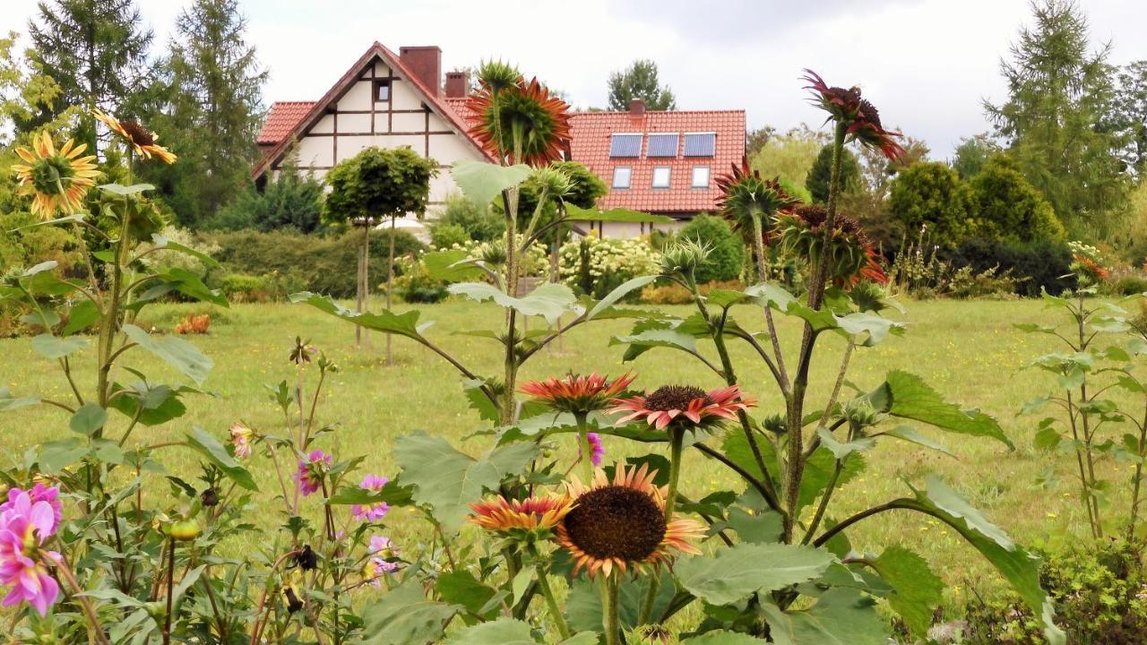 Villa Orlik Barlinek Buitenkant foto