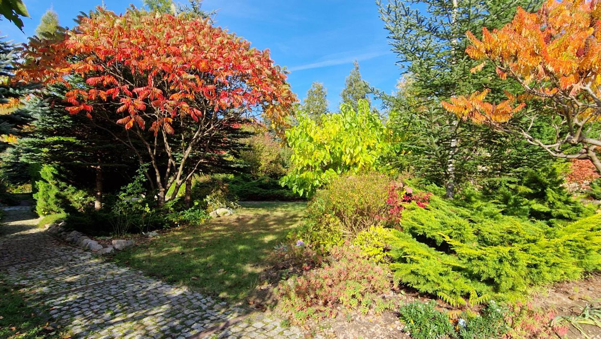 Villa Orlik Barlinek Buitenkant foto