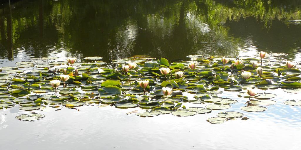 Villa Orlik Barlinek Buitenkant foto